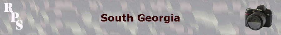 South Georgia