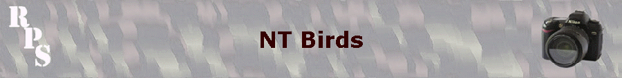 NT Birds