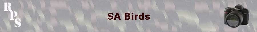SA Birds