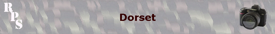 Dorset