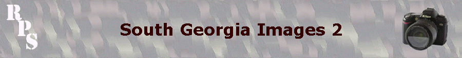 South Georgia Images 2
